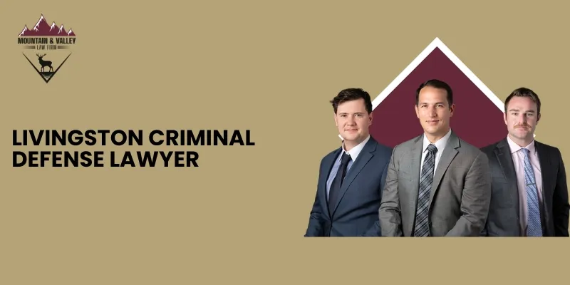 Livingston Criminal Defense Lawyer-image